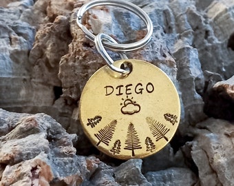 Médaille identité chien gravée "DIEGO"