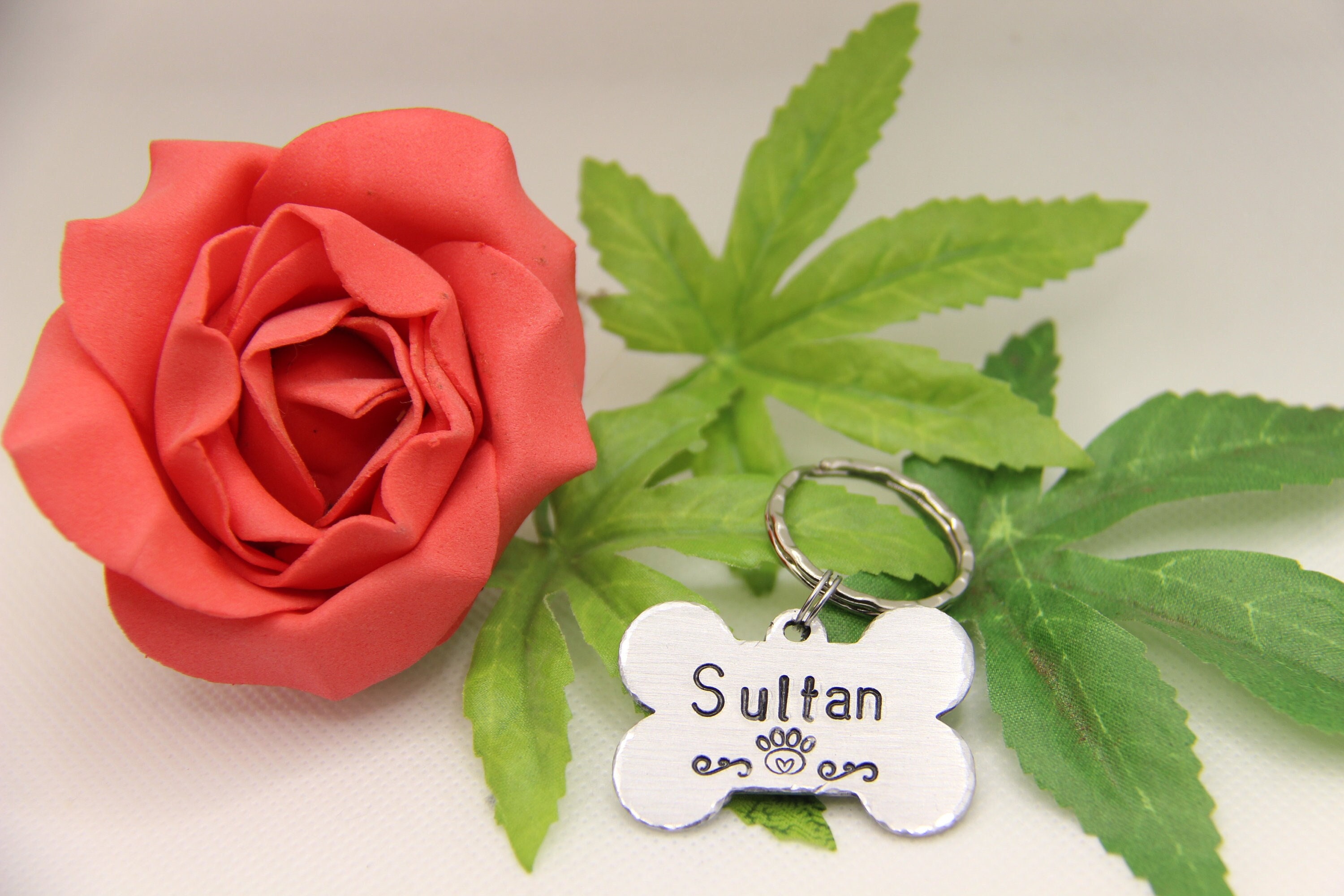 Médaille Identité Chien, Médaille Os Gravée, Finition Brossée