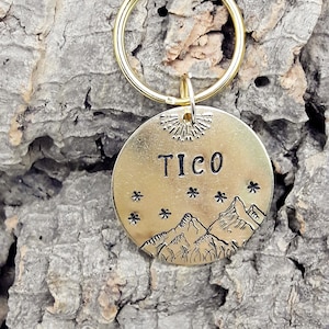 ID dog tag engraved "TICO"
