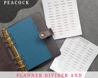 May include: A brown planner with a teal interior and gold rings, accompanied by white sticker sheets with labels. The text "COLOUR: PEACOCK" and "PLANNER DIVIDER AND DIVIDER LABELS STICKER SET" are visible.