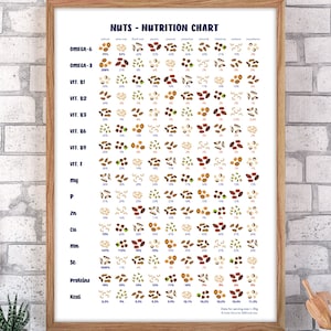Nuts healthy food poster – vegan vegetarian micronutrient sources – vitamins, minerals, proteins, digital download, printable dietary aid