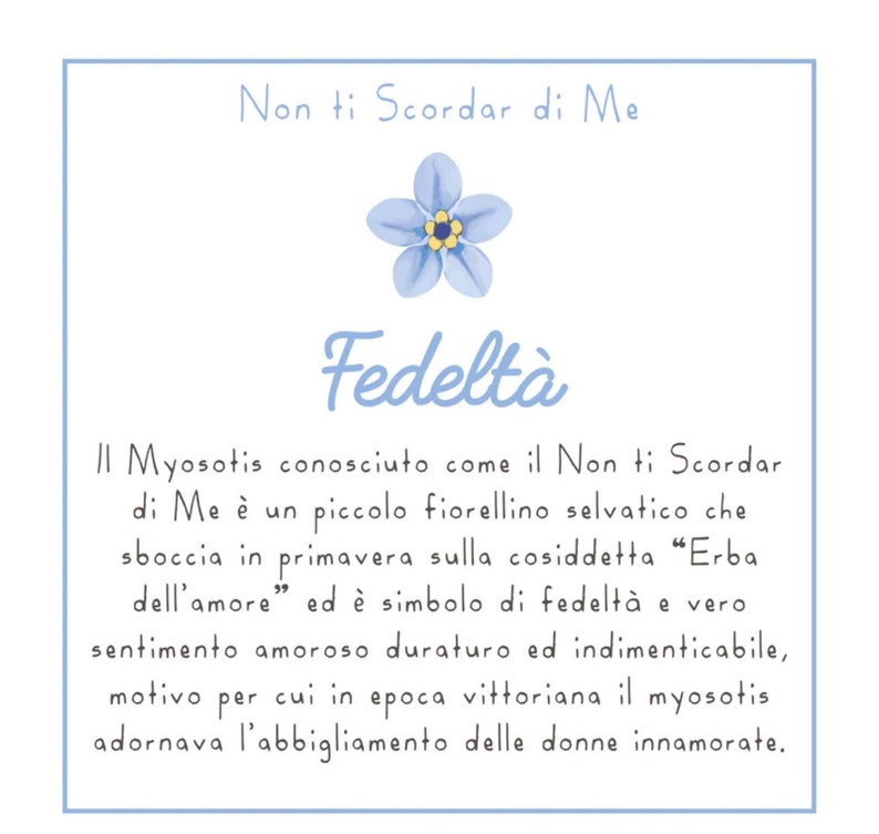 Collana in resina con fiori di non ti scordar di me, gioiello in resina con fiori di Myosotis Collana donna con fiori veri do not forget me immagine 6