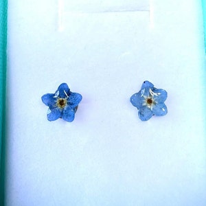 Don't forget me resin earrings, blue flower earrings, don't forget me earrings, small resin earrings and real flowers