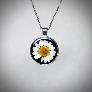 Pendant with real daisy black background, necklace with real flower gift