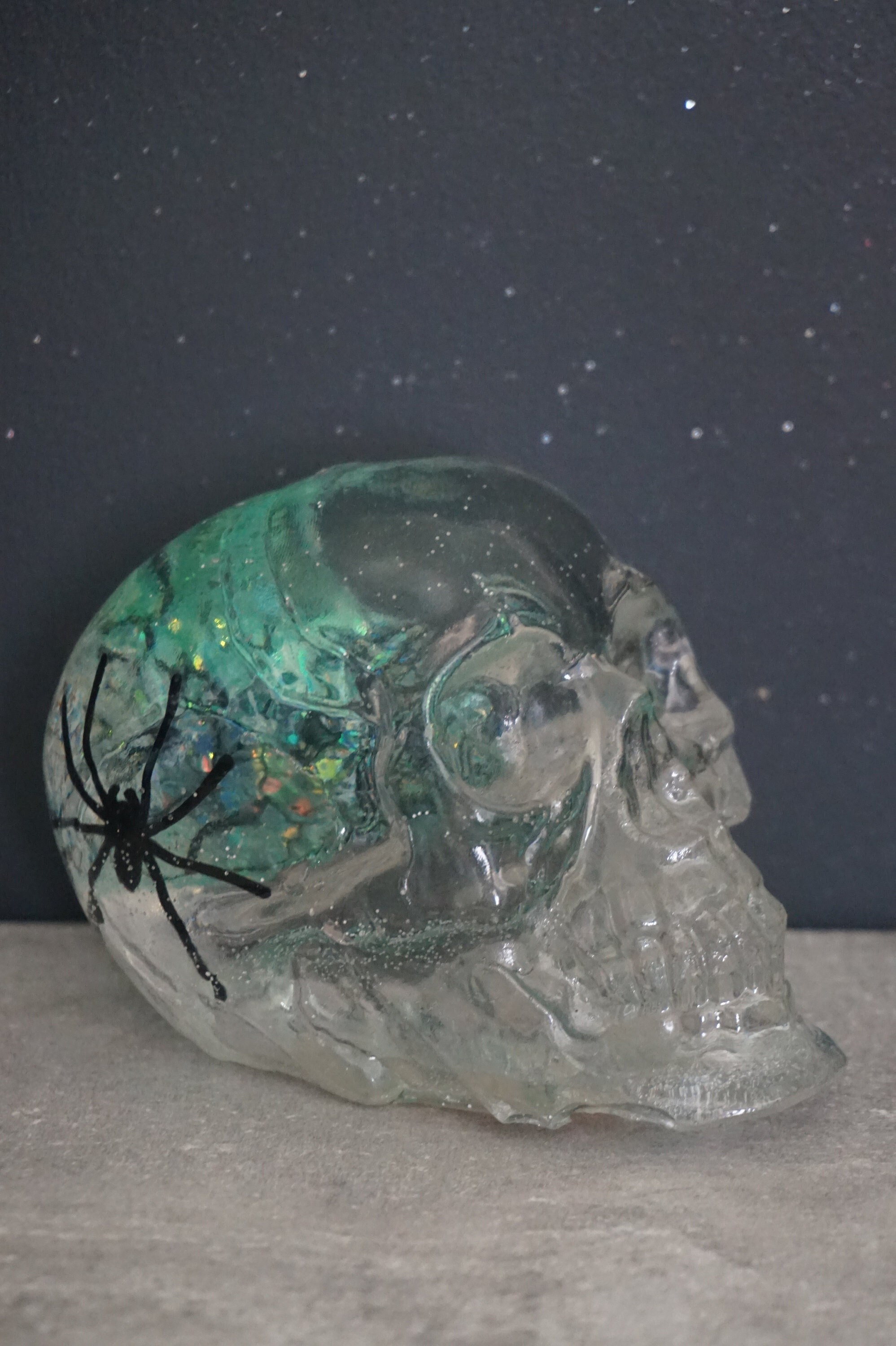 Infection - Crâne en Résine, Effet Loupe sur Le Cerveau