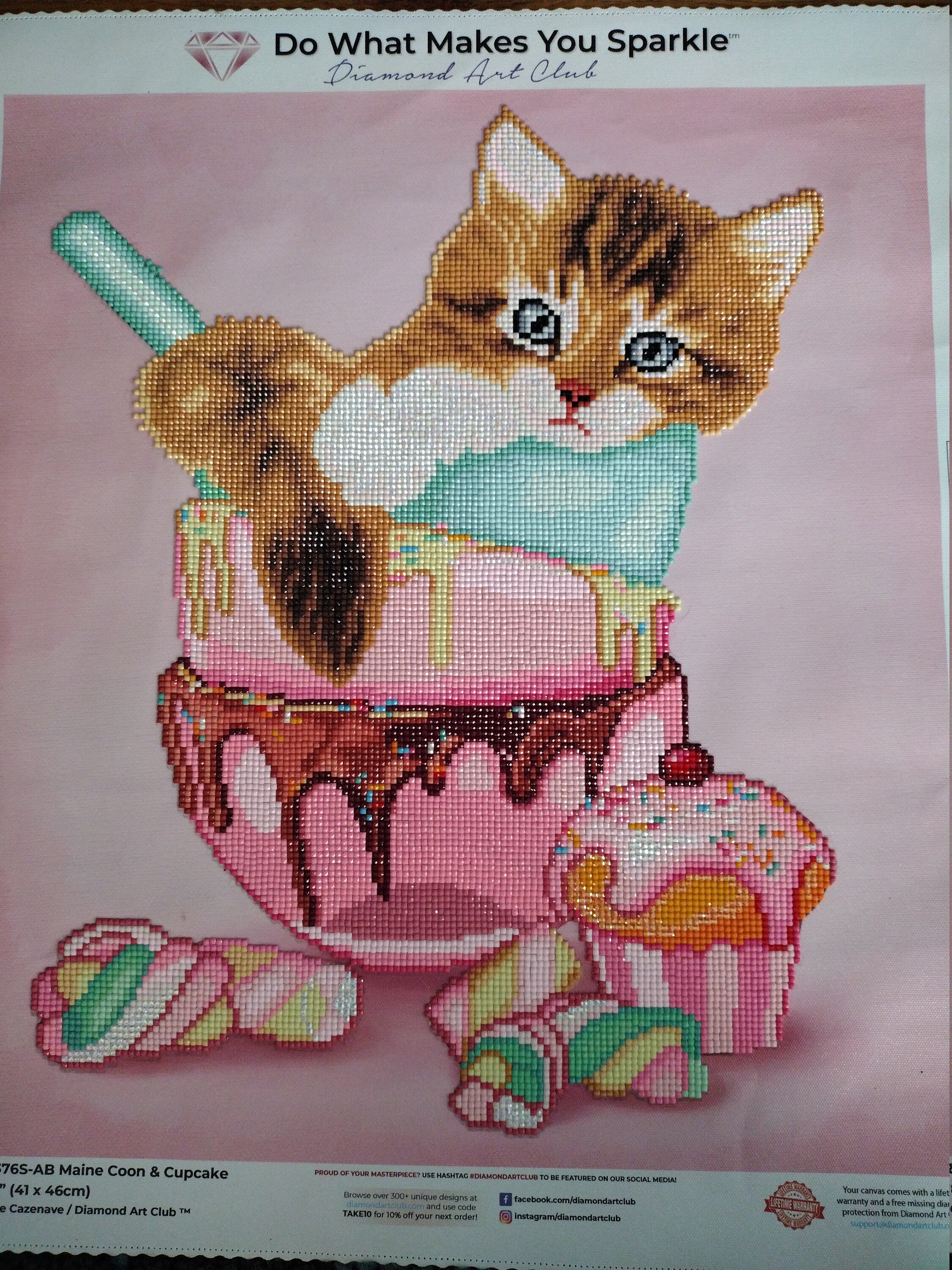 Finished Diamond Art. Cat in & Cupcakes - Etsy