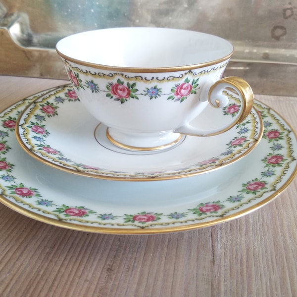 Decor moss florets and streublümchen with gold rim Tirschenreuth place setting for tea coffee with roses décor and flower vine vintage