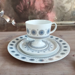 Kaffeservis - kanna - mjölkkanna av Rosenthal Studio Line, dekor ICE FLOWER från 1970-talet (val av alternativ finns)