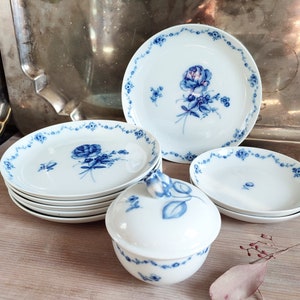 COBALT BLUE! Series LOTTINE 70s vintage, top condition! Porcelain from Alt Fürstenberg underglaze in Indian blue
