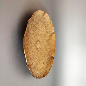 May include: A handcrafted, oval-shaped wooden bowl with a natural, textured surface. The bowl has a light brown color with a small, circular indentation at the center. The edges are uneven, giving it a rustic appearance.