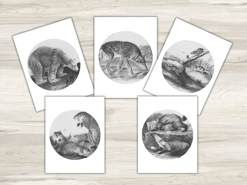 animal spiroglyphics