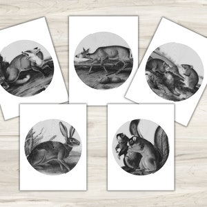 colored spiroglyphic printable pages