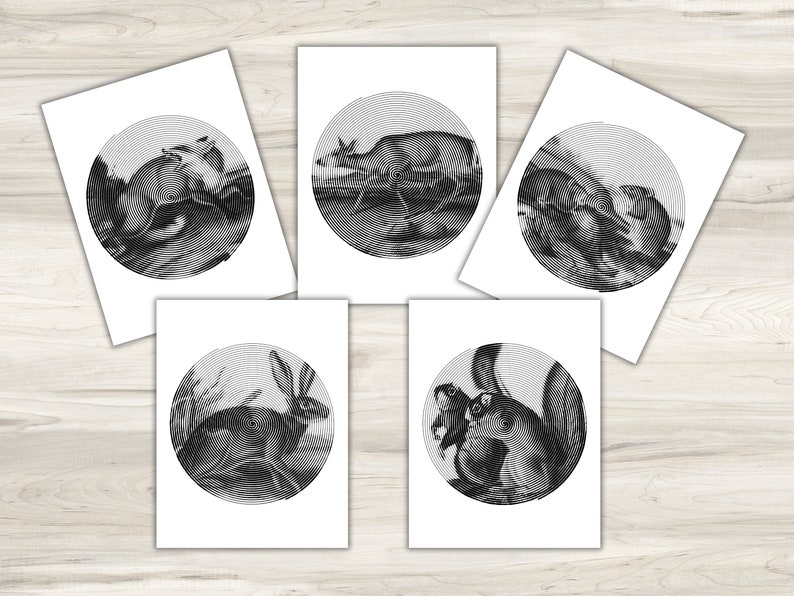colored spiroglyphic printable pages
