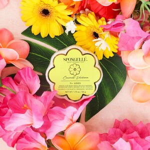 May include: A yellow and white round bath product with the text "SPONGELLÉ DAISY SPONGETTES Coconut Verbena 7+ USES TRAVEL SIZE BODY WASH INFUSED BUFFER EPONGE DE CORPS INFUSÉE DE GEL DOUCHE CLEANSE EXFOLIATE MASSAGE NOURISH NET WT. 1.75 oz./50 g" on it.