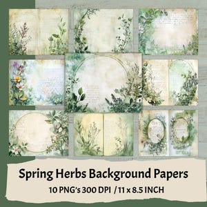 Sfondi per diario con erbe primaverili, pagine shabby chic, sfondi stampabili per diario con motivi floreali rustici, pagine di cancelleria rustiche