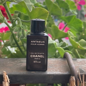 Antaeus Chanel cologne - a fragrance for men 1981