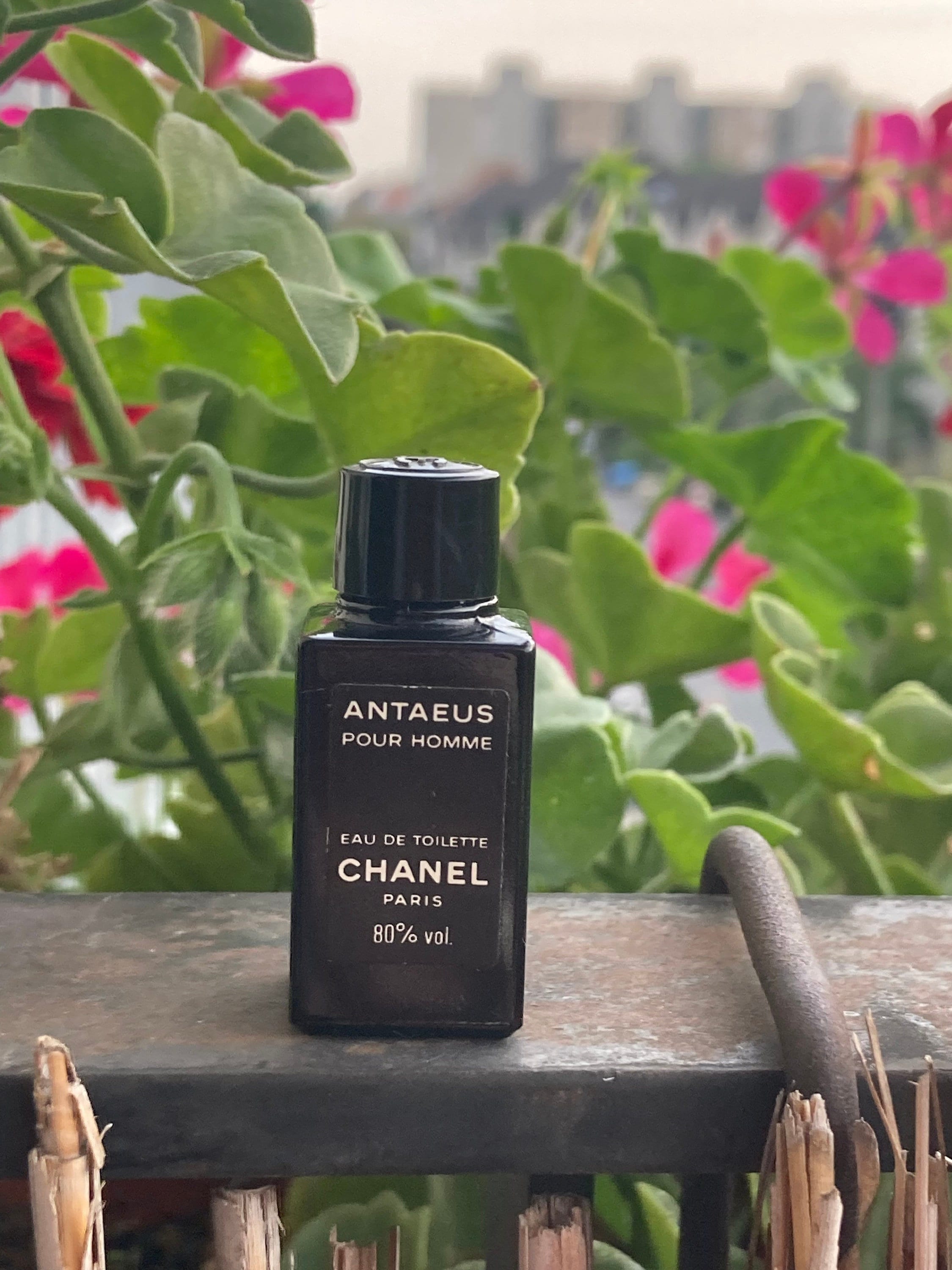 Antaeus Chanel edt 19 ml. Vintage 1981. Sealed bottle – My old perfume