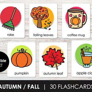 Flashcards imprimíveis de outono para crianças, cartões de vocabulário de outono, flashcards de texto editáveis para QUALQUER idioma, download instantâneo