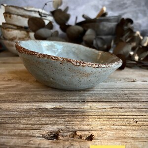 May include: A small, light blue ceramic bowl with a brown rim. The bowl has a speckled, rustic look and is sitting on a wooden surface. Style 2.