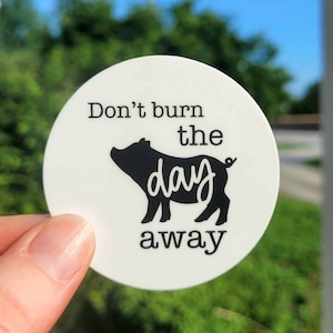 Don't burn the day away vinyl sticker. Pig. Dave Matthews Band stickers. dmb stickers. Pig lyrics. Water bottle sticker. FREE SHIPPING.