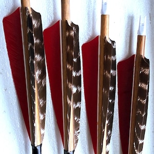 6 Traditional Carbon Recurve & Longbow Archery Arrows Barred Shield Cut Turkey Feather - 400 Spine