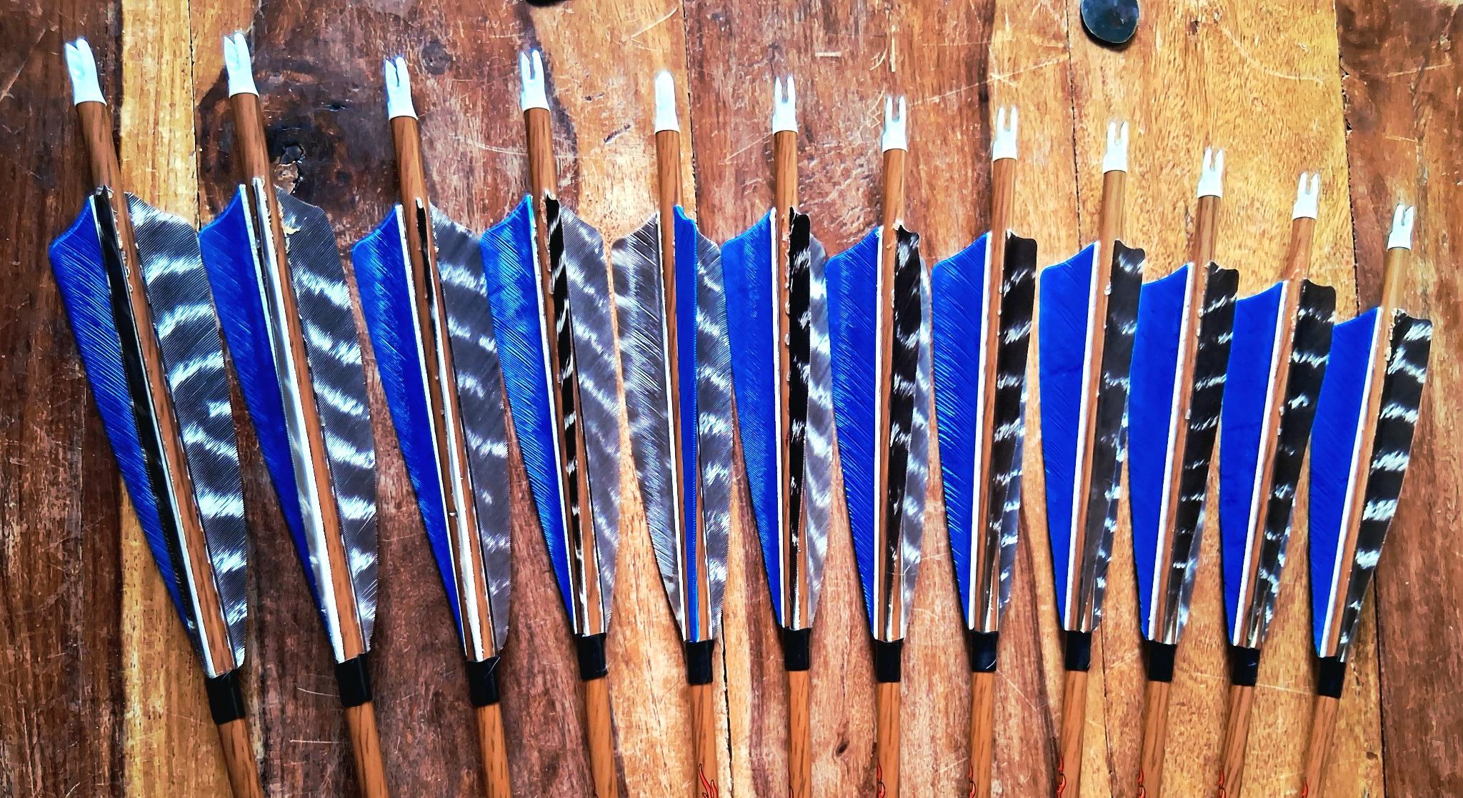 6 Traditional Carbon Recurve & Longbow Archery Arrows Barred Shield Cut ...