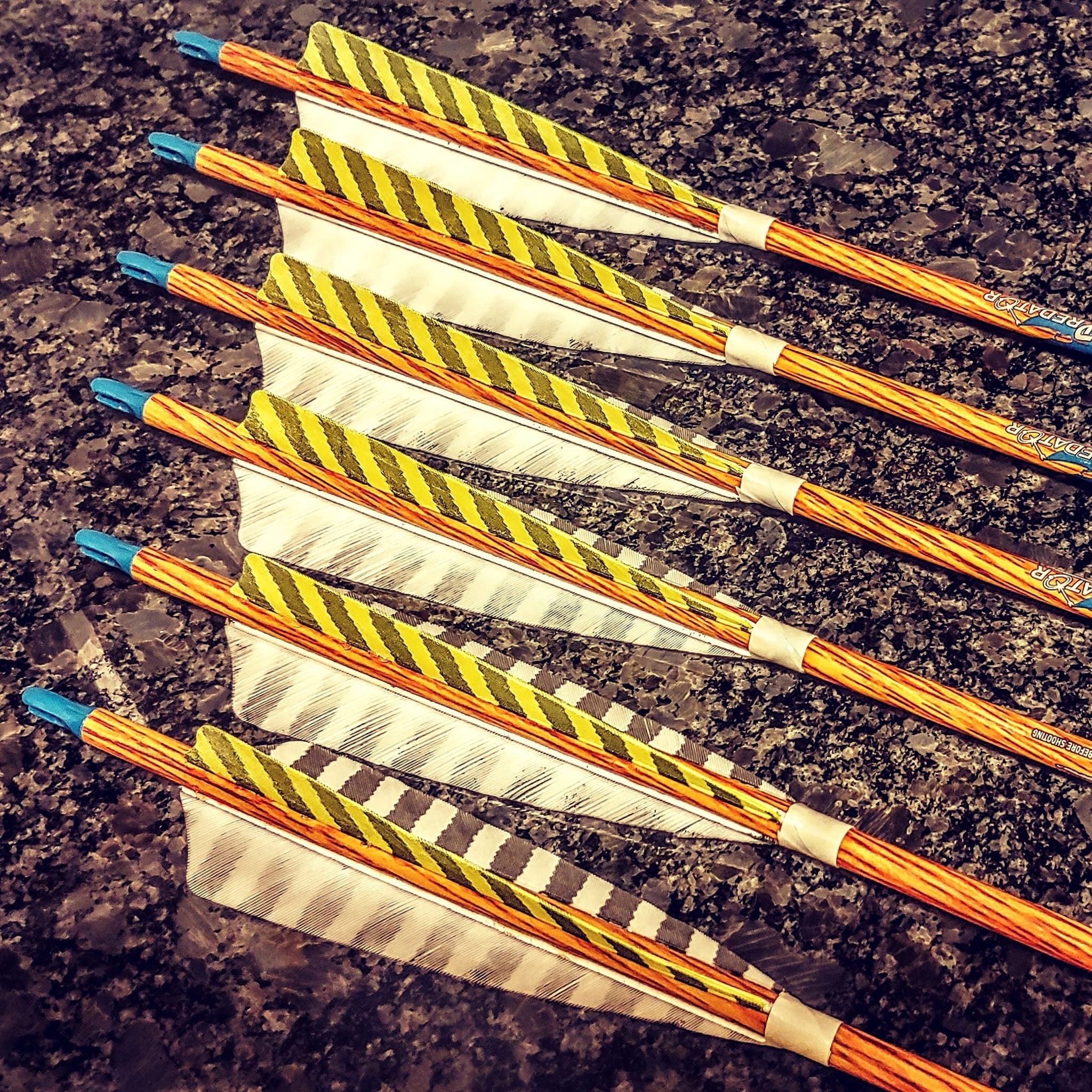 6 Traditional Carbon Recurve & Longbow Archery Arrows Barred Shield Cut ...