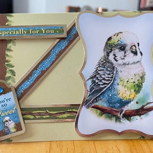 Des cartes vierges faites main pour toutes les occasions