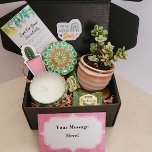 Bulk Farewell Gifts for Coworkers: DIY Desk Succulents — Calm & Chic