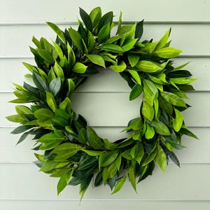 Year Round Front Door Laurel Leaf Wreath, All Season Greenery Wreath