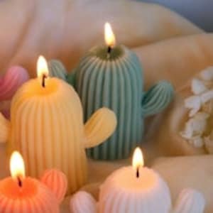 Cactus Candle | Soy Wax Cactus Candle | Handmade Soy Wax Candle | Home Decor Candle | Cactus Decoration | Gift Idea