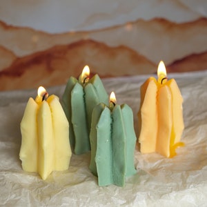 Handmade Soy Wax Cactus Candle: Desert Home Decor (7.5 x 5 cm)