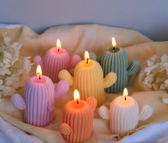 Cactus candle cheap
