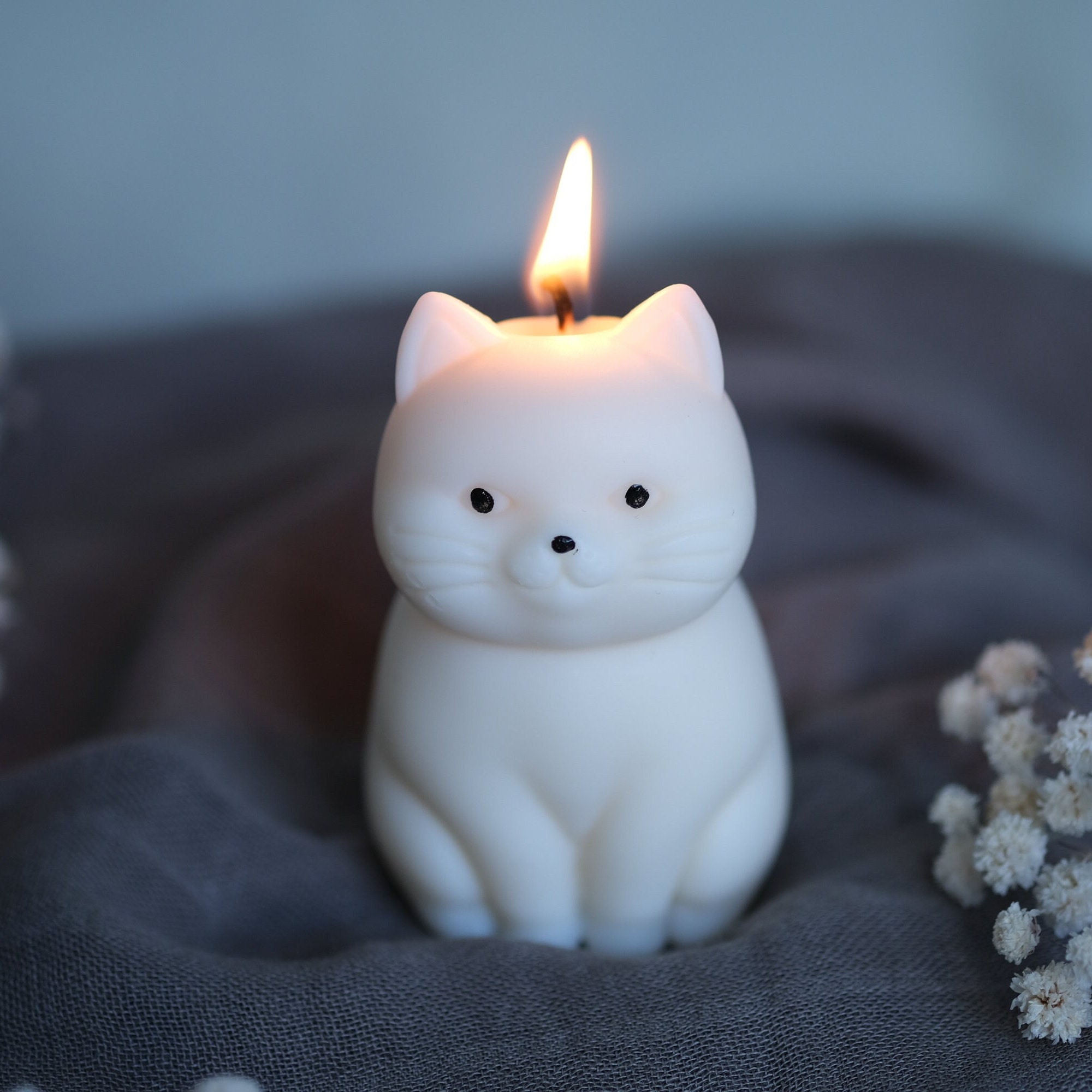 Cat skeleton candle deals