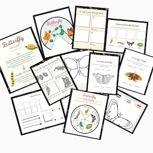 40 pack Butterfly Unit Bundle - Unit study - life cycle of a butterfly