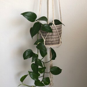 May include: A potted plant with green leaves hanging from a white macrame plant hanger.