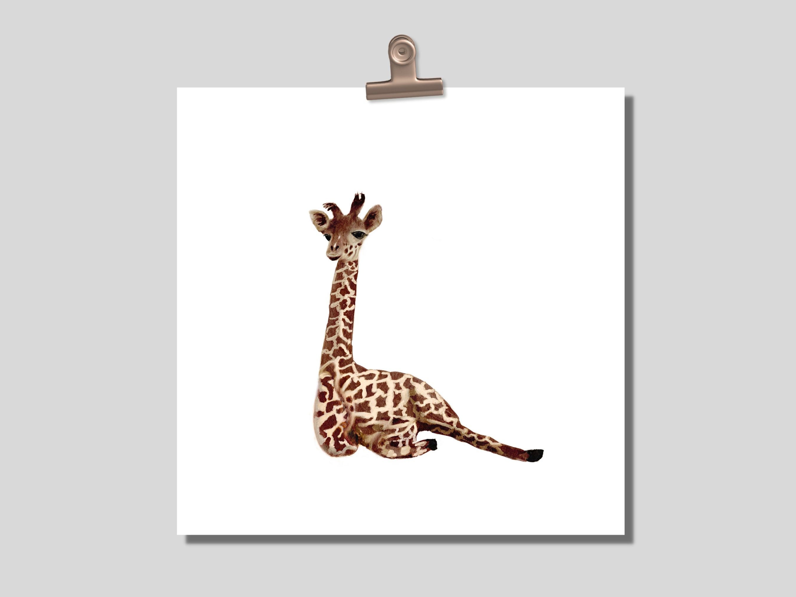 beo 2er set texas be743 dschungel print mit vogel für... Dschungel Animal Prints Set 6 Printable Set 6 Safari Jungle - Etsy.de