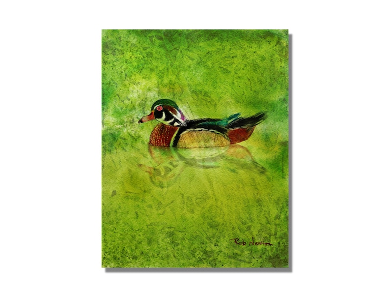 Wood Duck Wall Art Print, Abstract Realism Wall Art, Duck Fine Art