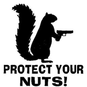 May include: A black and white silhouette of a squirrel holding a gun. The text "PROTECT YOUR NUTS!" is below the squirrel.