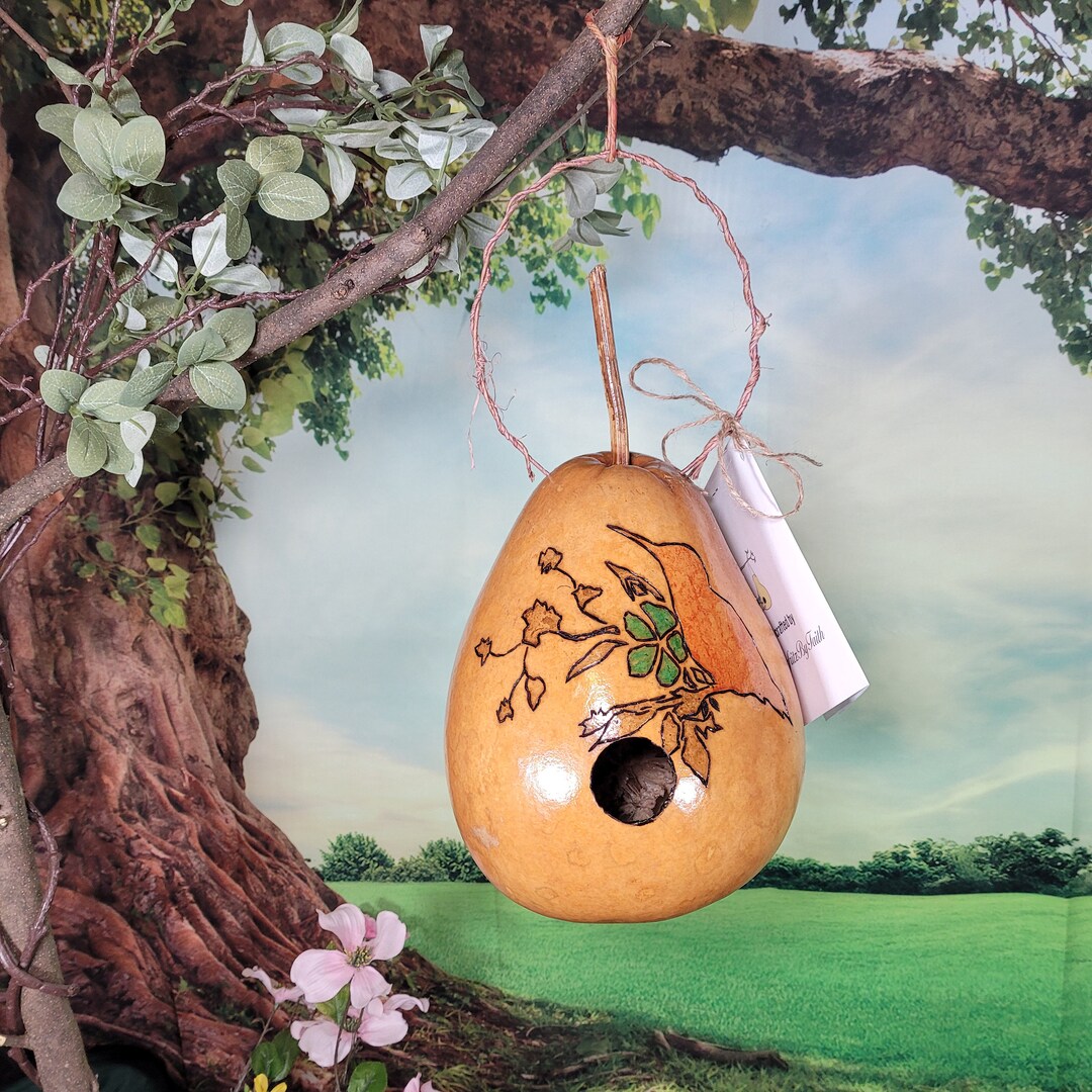 Bird and Flower on Branch Pyrography Gourd - Etsy
