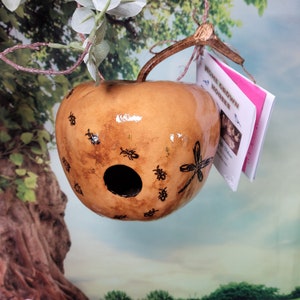 May include: A gourd birdhouse painted with a dragonfly and several ants. The birdhouse is hanging from a branch and has a small hole for birds to enter. The birdhouse is labeled "Home Grown Hobbies".