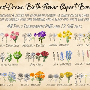 Bundle de cliparts fleur de naissance dessinés à la main, fleurs de naissance unique couleur PNG, bouquet de fleurs de naissance couleur PNG, dessin au trait fleur de naissance png et SVG