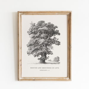Christian Wall Art, Ephesians 3:17, Bible Verse Print, Rooted & Grounded, Modern Scripture Decor, Vintage Tree Sketch, Encouraging Faith