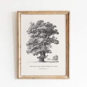 Christian Wall Art, Ephesians 3:17, Bible Verse Print, Rooted & Grounded, Modern Scripture Decor, Vintage Tree Sketch, Encouraging Faith