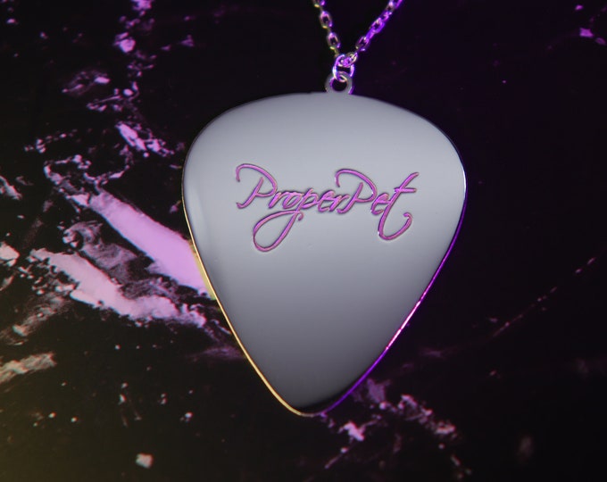 Silver Proper pet Guitar pick Necklace, Special necklace for band, support your favorite band