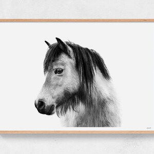 Alfie - Pferde pony Print | Schwarz weiß | Wandkunst | Archivdruck oder Poster