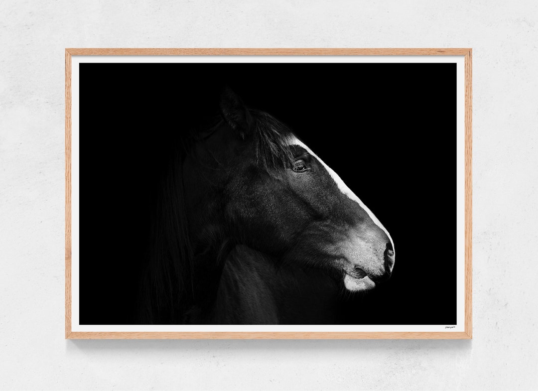 Murphy Horse Print Black and White Wall Art Archival Print or Poster Etsy