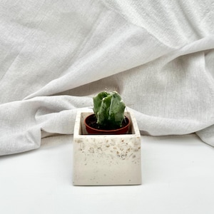 Può includere: Una piccola pianta di cactus in un vaso di terracotta si trova all'interno di un vaso quadrato bianco in terrazzo. Il vaso ha una superficie testurizzata e macchiata.