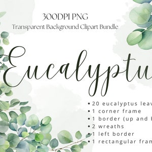 Watercolor Eucalyptus Clipart, Eucalyptus  Wreath, Greenery Clipart, Eucalyptus Border, Commercial Use Free PNG, Watercolor Greenery