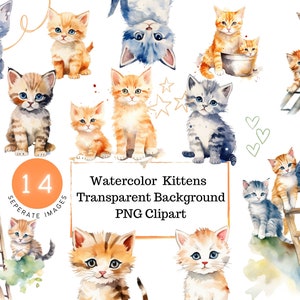 Clipart gattino acquerello - Download istantaneo per uso commerciale, gatti e gattini carini, PNG trasparenti, clipart gattino acquerello, nascita bambini